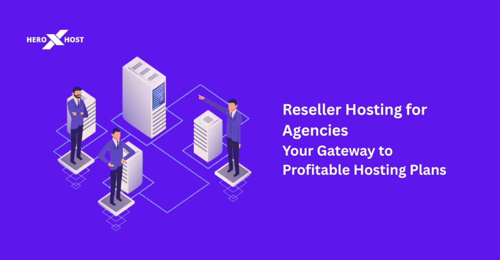 Reseller Hosting for Agencies: Your Gateway to Profitable Hosting Plans