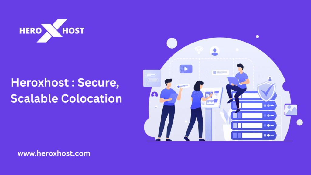Illustration of people managing servers representing HeroxHost’s secure and scalable colocation hosting solutions.