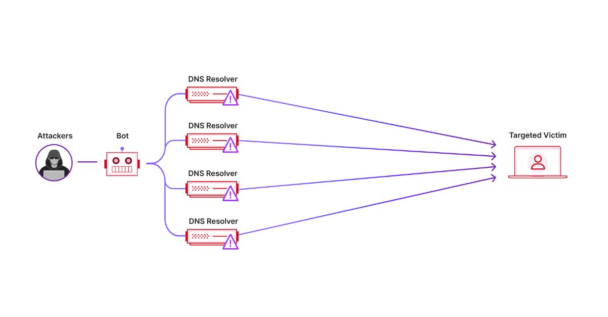 HeroXHost DDoS protection diagram showing botnet attackers using DNS resolvers to flood a targeted website server with malicious traffic
